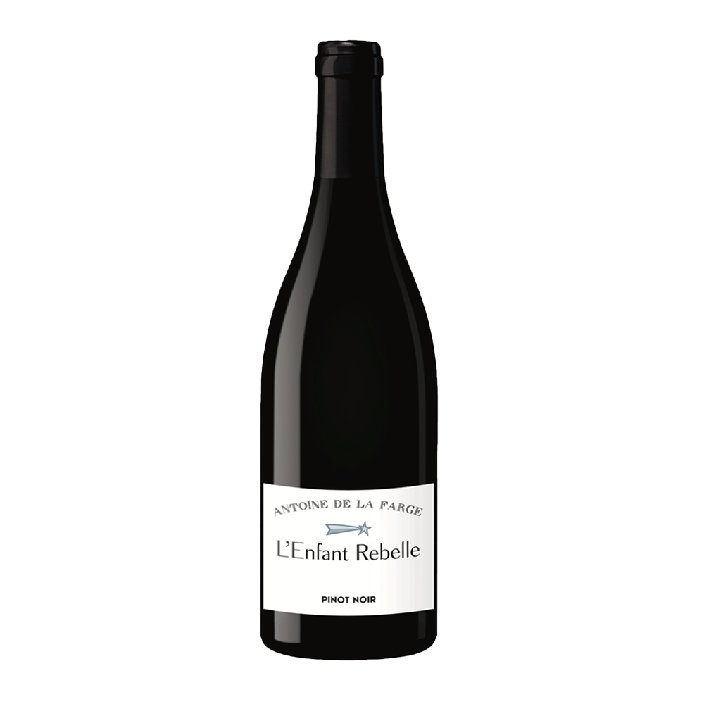 L'enfant Rebelle Pinot Noir 2021