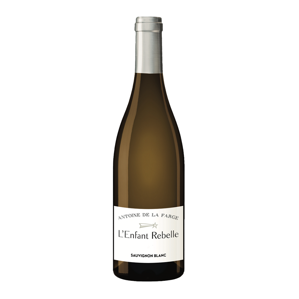 L'enfant Rebelle Sauvignon Blanc 2024